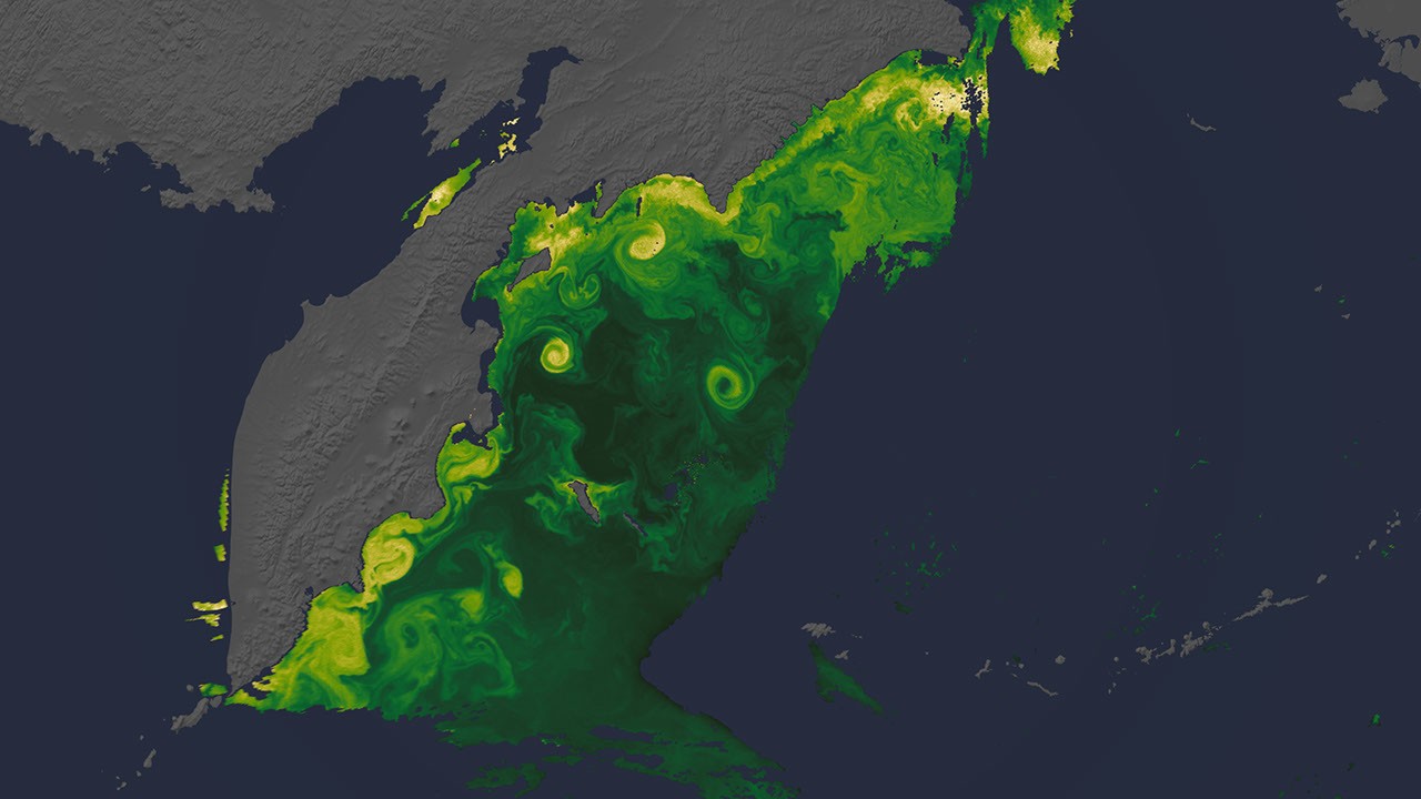 NASA Releases New Earth Views from Artemis II Mission: Phytoplankton Blooms and Auroras Captured